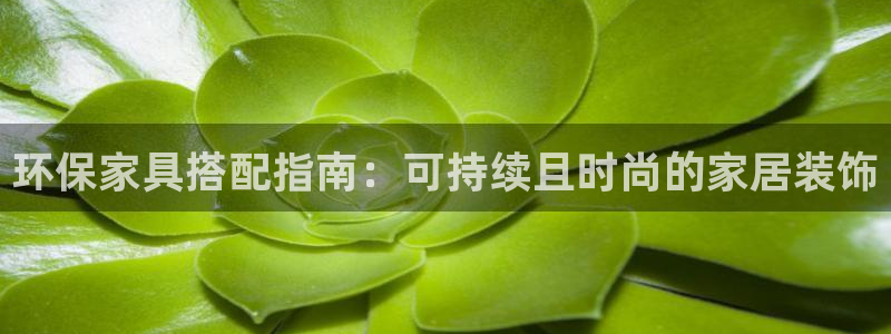 杏耀登入官网