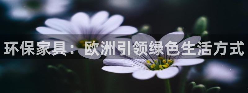 杏耀登陆