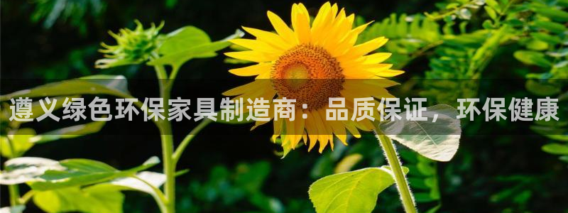 杏耀登陆测速