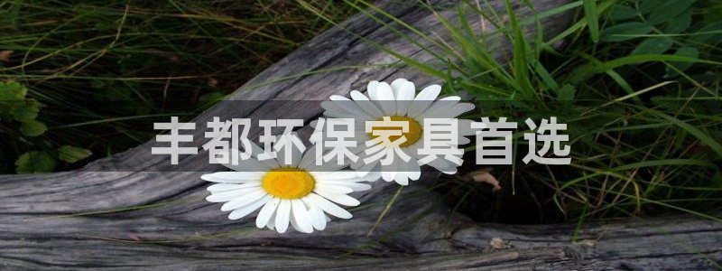 杏耀代理1980