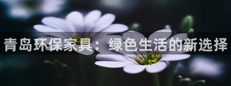 杏耀主管qq