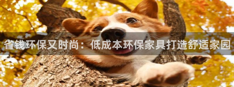 杏耀平台得专用通道