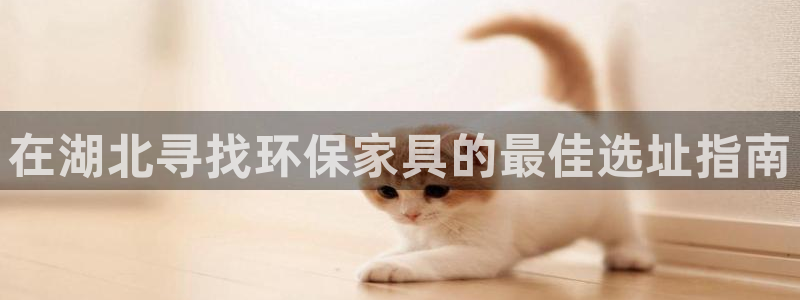 杏耀主管qq