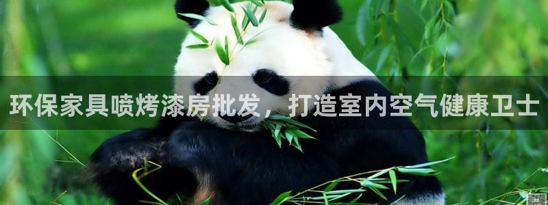 杏耀主管qq