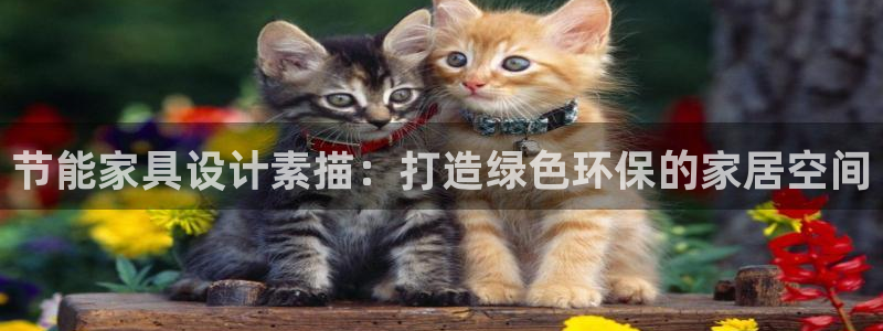 杏耀登陆