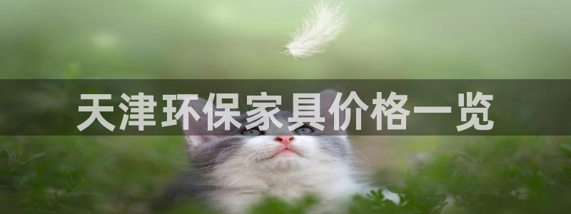 杏耀代理日工资多少