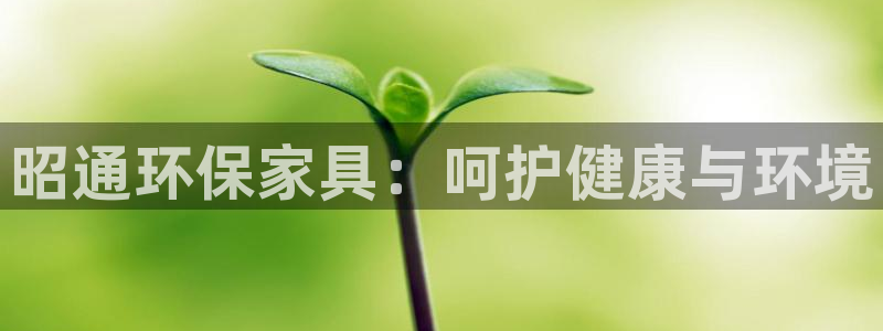 杏耀平台代理