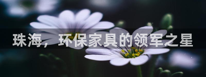 杏耀代理连接