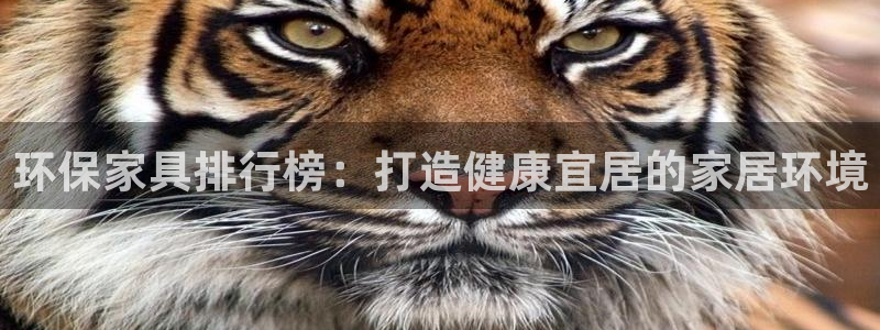 杏耀登陆线路
