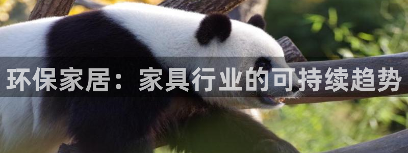 杏耀平台的专用通道