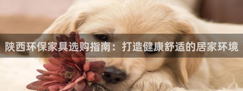 杏耀平台的专用通道