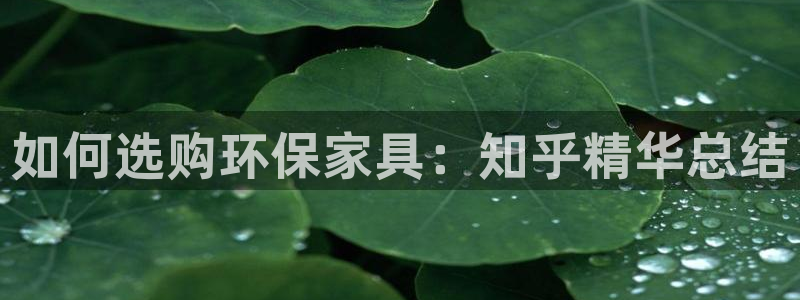 杏耀平台招商的流程