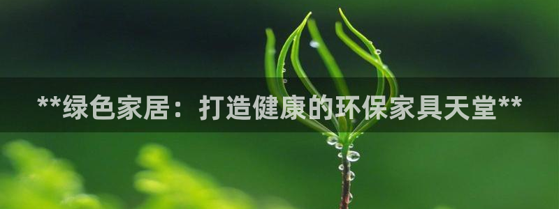 杏耀软件