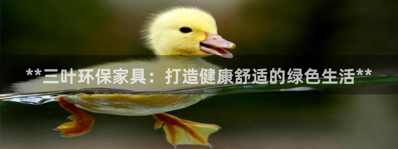 杏耀软件