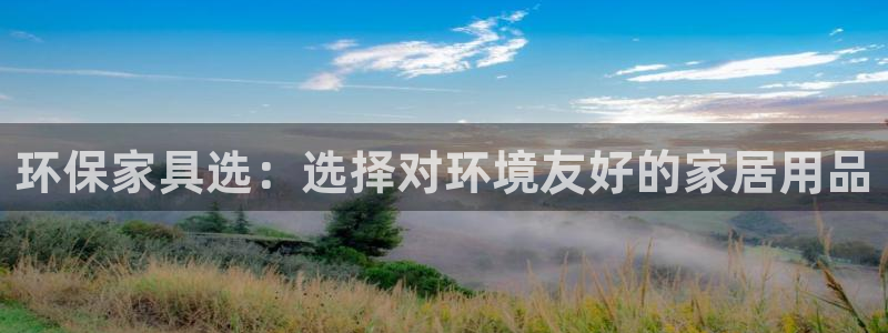杏耀总代