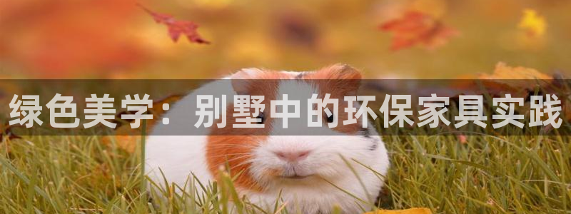 杏耀开户app下载