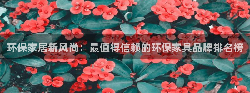 杏耀登陆