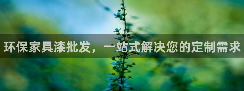 杏耀代理登录中心怎么进：环保家具漆批发，一站式解决您的定制需