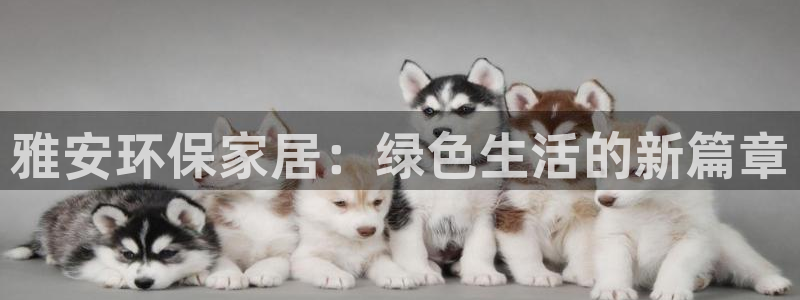 杏耀官网app