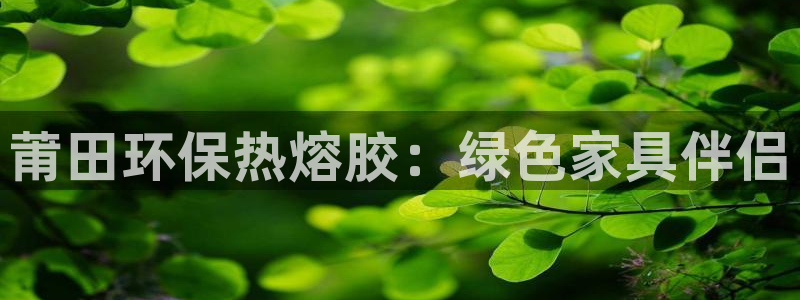 杏耀平台代理怎么赚钱：莆田环保热熔胶：绿色家具伴侣