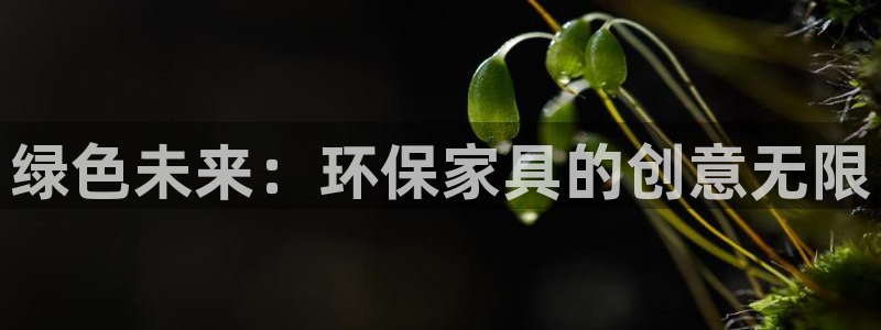 杏耀平台代理怎么赚钱