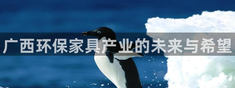 杏耀平台登录：广西环保家具产业的未来与希望