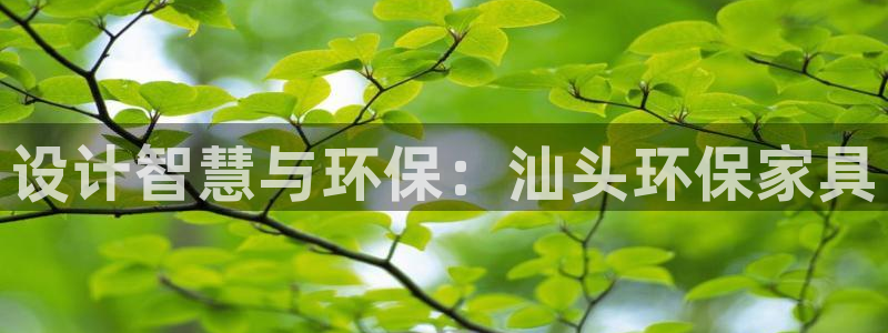 杏耀官网客服：设计智慧与环保：汕头环保家具