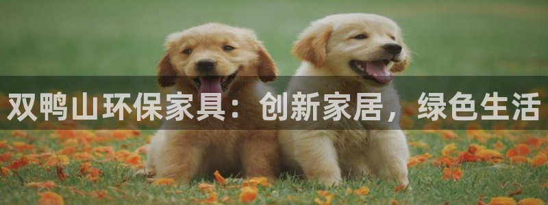 杏耀平台网页版：双鸭山环保家具：创新家居，绿色生活