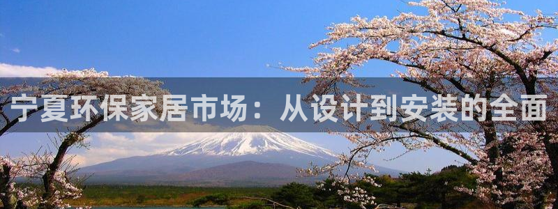 杏耀代理1980：宁夏环保家居市场：从设计到安装的全面