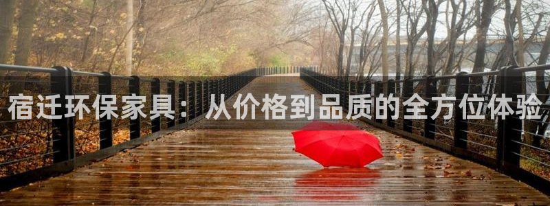 杏耀平台已注册入口：宿迁环保家具：从价格到品质的全方位体验