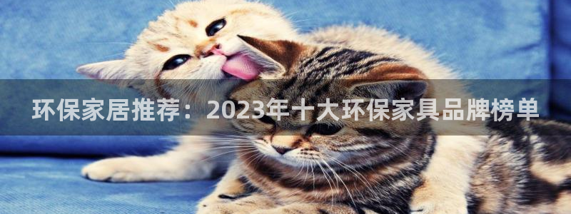 杏耀注册登陆：环保家居推荐：2023年十大环保家具品牌榜单
