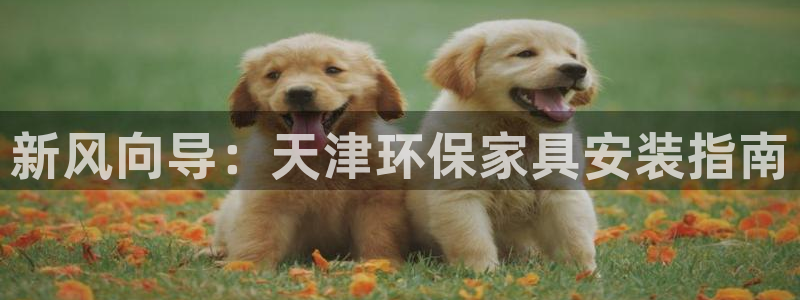 杏耀登陆网站：新风向导：天津环保家具安装指南
