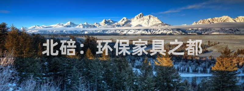 杏耀平台服务中心：北碚：环保家具之都