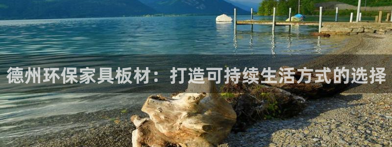 杏耀官方网：德州环保家具板材：打造可持续生活方式的选择