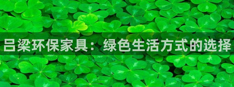 杏耀平台手机：吕梁环保家具：绿色生活方式的选择