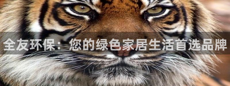 杏耀平台登录网址是什么：全友环保：您的绿色家居生活首选品牌