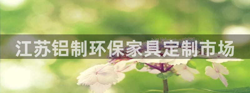 杏耀代理主管qq：江苏铝制环保家具定制市场