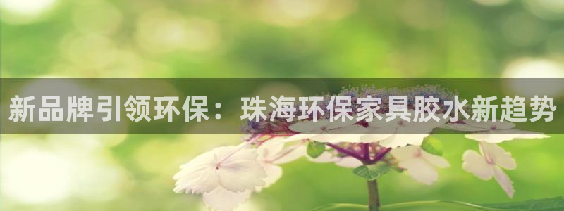 杏耀平台测速登陆：新品牌引领环保：珠海环保家具胶水新趋势