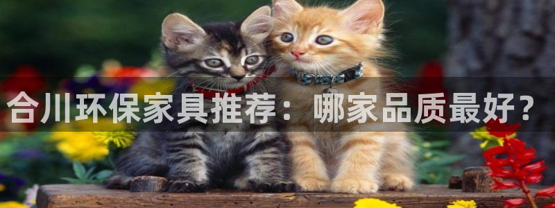 杏耀官网网站：合川环保家具推荐：哪家品质最好？